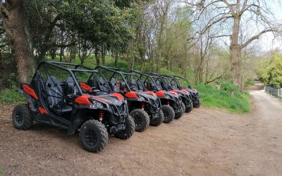 Rutas en Buggy en Gijón