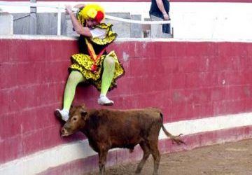 Capeas en Asturias