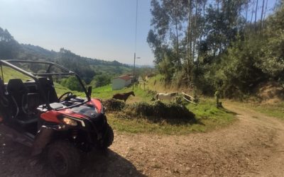 Disfrutar de Rutas en Buggy en Asturias